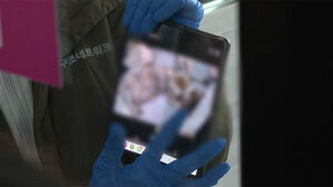 '실험용 돼지 사체'까지 먹이로 줬다&hellip;철창 속 섬뜩 학대