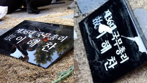 '국무총리' 적혔는데&hellip;뜯겨진 묘비석 사진에 '발칵'