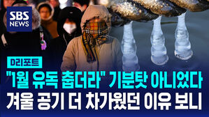 [D리포트] "1월 유독 춥더라" 기분탓 아니었다&hellip;겨울 공기 더 차가웠던 이유 보니