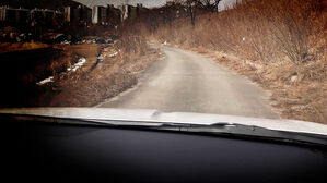 산책하다 사망&hellip;"신고해준 의인" 알고 보니 가해 차량 