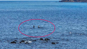 순식간에 바다 한가운데&hellip;제주 갯바위 고립 낚시객 2명 구조