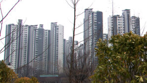 '압박-퇴로' 병행에 늘어난 급매&hellip;세입자 이사비 요구도