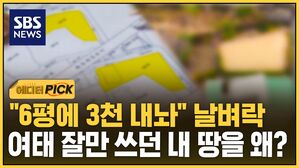 [에디터픽] 6평 땅에 3천만 원 '폭탄'&hellip;집까지 압류당한 이유가
