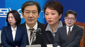 [여담야담] '숙주' 논란으로 번진 합당 갈등&hellip;조국도 "예의 없다" 폭발