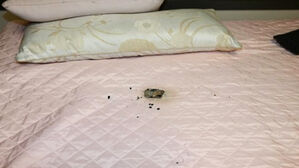 "어서 대피" 곳곳 날벼락&hellip;"추울 때 각별 주의"