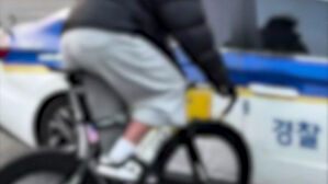 [빅토픽] "경찰차 가로막더니"&hellip;겁없는 10대 '픽시 부대'