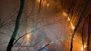 행안장관 "경주 문무대왕면 산불 조기 진화에 총력" 지시