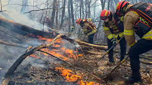 이틀째 확산에 '국가소방동원령' 내린 경주 산불 주불 진화