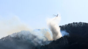 산림청 "경주 문무대왕면 산불 이틀 만에 주불 진화 완료"