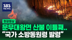 [현장영상] 이틀째 안 꺼지는 불&hellip;2차 국가소방동원령 발령