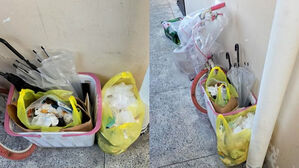 "신고해도 1년 내내 그대로" 분통&hellip;옆집 충격 사진 보니