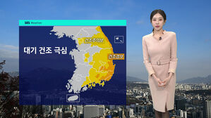 [날씨] 곳곳 산불 '대기 건조 극심'&hellip;최대 5cm 눈 소식