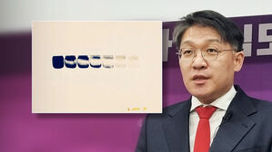 '그림 매관매직 의혹' 무죄&hellip;정자법 위반은 유죄