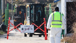 포천 산란계 농장서 고병원성 조류인플루엔자&hellip;올겨울 44번째