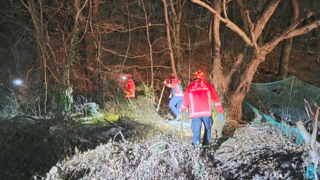 포항 산불 (사진=산림청 제공)