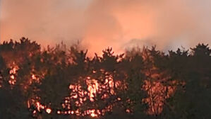 새벽 포항 북구에서 산불&hellip;1시간 만에 진화