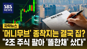 [자막뉴스] '머니무브' 종착지는 결국 집? "2조 주식 팔아 '똘한채' 샀다"