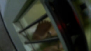 [단독] "머리 박고 플라스틱 꿀꺽" 충격 영상들&hellip;악순환의 골