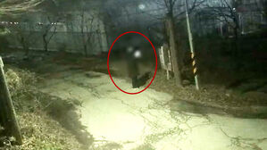 정체불명 남성들 무더기로&hellip;인적 드문 야산서 벌인 짓