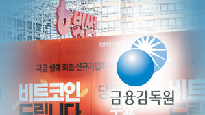 가격 폭락에 '강제청산' 피해도&hellip;정식 검사 전환