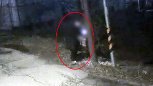 산에 묻고 집에서 만들고&hellip;56만 명분 마약 유통