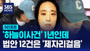 [D리포트] "하늘이법 쏟아졌지만"&hellip;후속 대책은 깜깜무소식