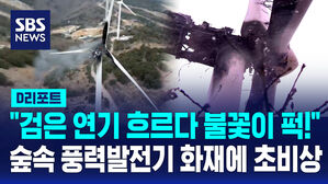 [D리포트] "검은 연기 흐르다 불꽃이 퍽!"&hellip;숲속 풍력발전기 화재에 초비상