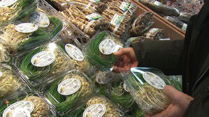 "얼고 녹았다 해야 진미"&hellip;추위 이겨낸 봄나물 수확