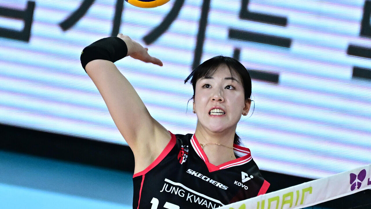 여자배구 정관장 정호영 '최소 4주' 결장…"손가락 부상"