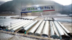 주 3일 살면 월 15만 원&hellip;'농어촌 기본소득' 26일 시행