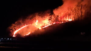 강원 양양 야산서 산불&hellip;1시간 20분 만에 꺼져