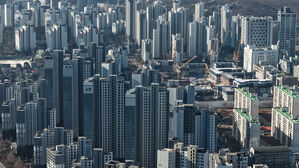 부동산R114 "새 아파트 단지 내 상가 점포 소형&middot;고밀화"