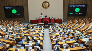 위안부 피해자 허위사실 유포 처벌법 통과에 시민단체 "환영"