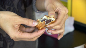 "연휴다!" 휴게소서 호두과자 먹으려다&hellip;깜짝 놀란 이유