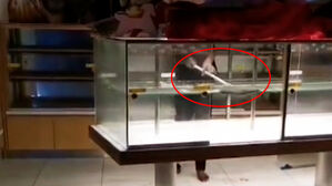 "평소에도 이랬나"&hellip;청소 중인 유명 빵집 충격의 장면