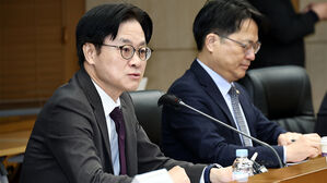 정부, 특별법 앞서 미국 투자 프로젝트 사전 검토 시작