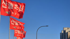 올해 산불 피해 면적 작년의 16배&hellip;"성묘 시 라이터 소지 금지"