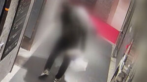 Court Allows 'Busan Roundhouse Kick' Attacker to Use 100,000 Won Monthly from Prison Funds