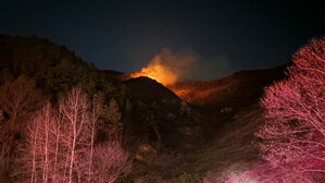 금산군 야산 화재 6시간 만에 주불 진화