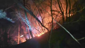 금산군 산불 6시간 만에 진화&hellip;음주 사망 사고도