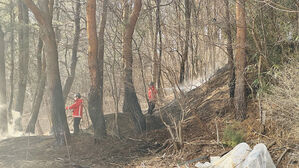 강릉 주문진서 산불&hellip;헬기 5대 투입해 30여 분 만에 주불 진화