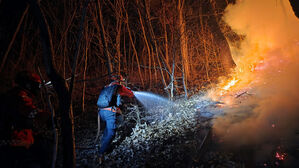 금산 산불 재발화 8시간 만에 진화&hellip;'담뱃불' 추정
