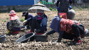 외국인 근로자 체류 연장 부처간 이견&hellip;농식품부 "연장 추진" 법무부 "현행유지"