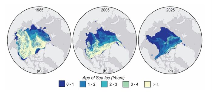 북극에서 생긴일 1번 그림