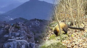 무려 '6조 7천억' 가치&hellip;"바로 다음 달" 부푼 기대