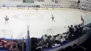 '6명 사상' 하키 경기장 아비규환&hellip;온몸으로 막았지만