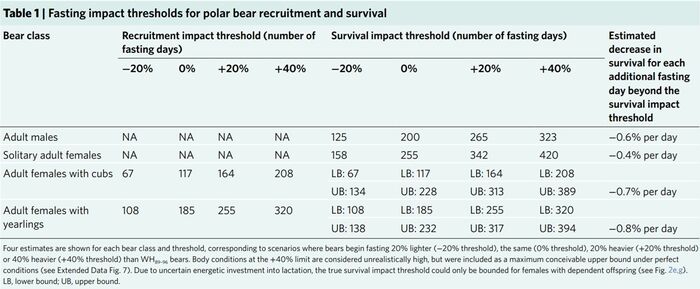 북극곰 취재파일 두 번째 그림