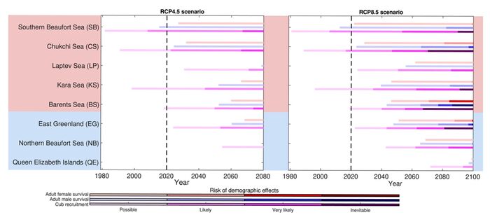 북극곰 취재파일 두 번째 그림