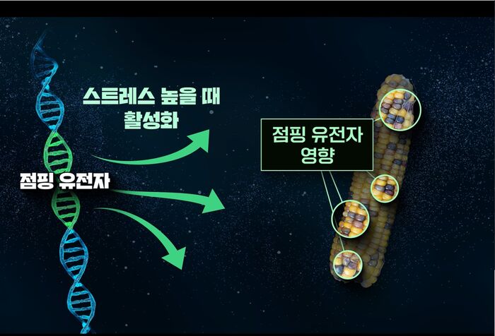 북극곰 취재파일 두 번째 그림