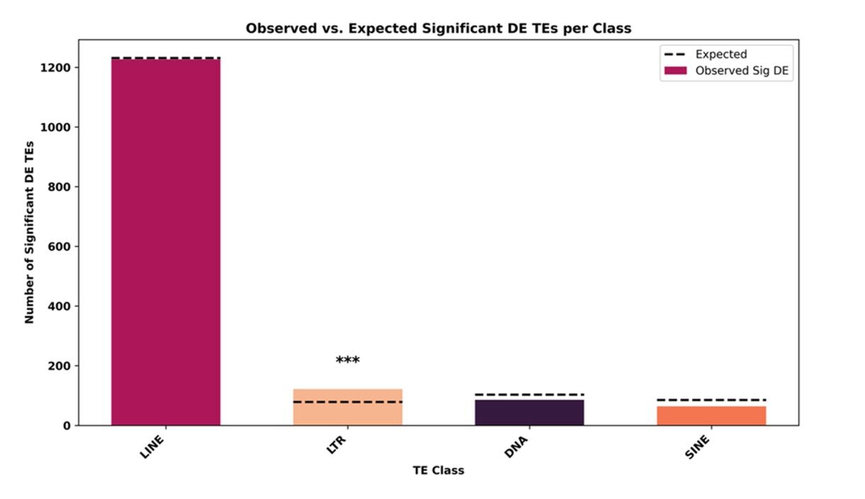 북극곰 취재파일 두 번째 그림